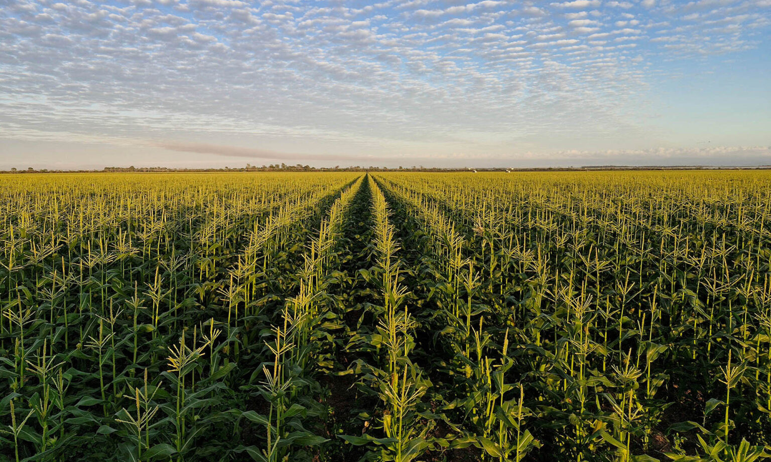 Crops page header